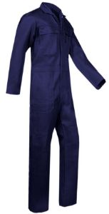 Afbeelding - 20251029-berkeind-JPG